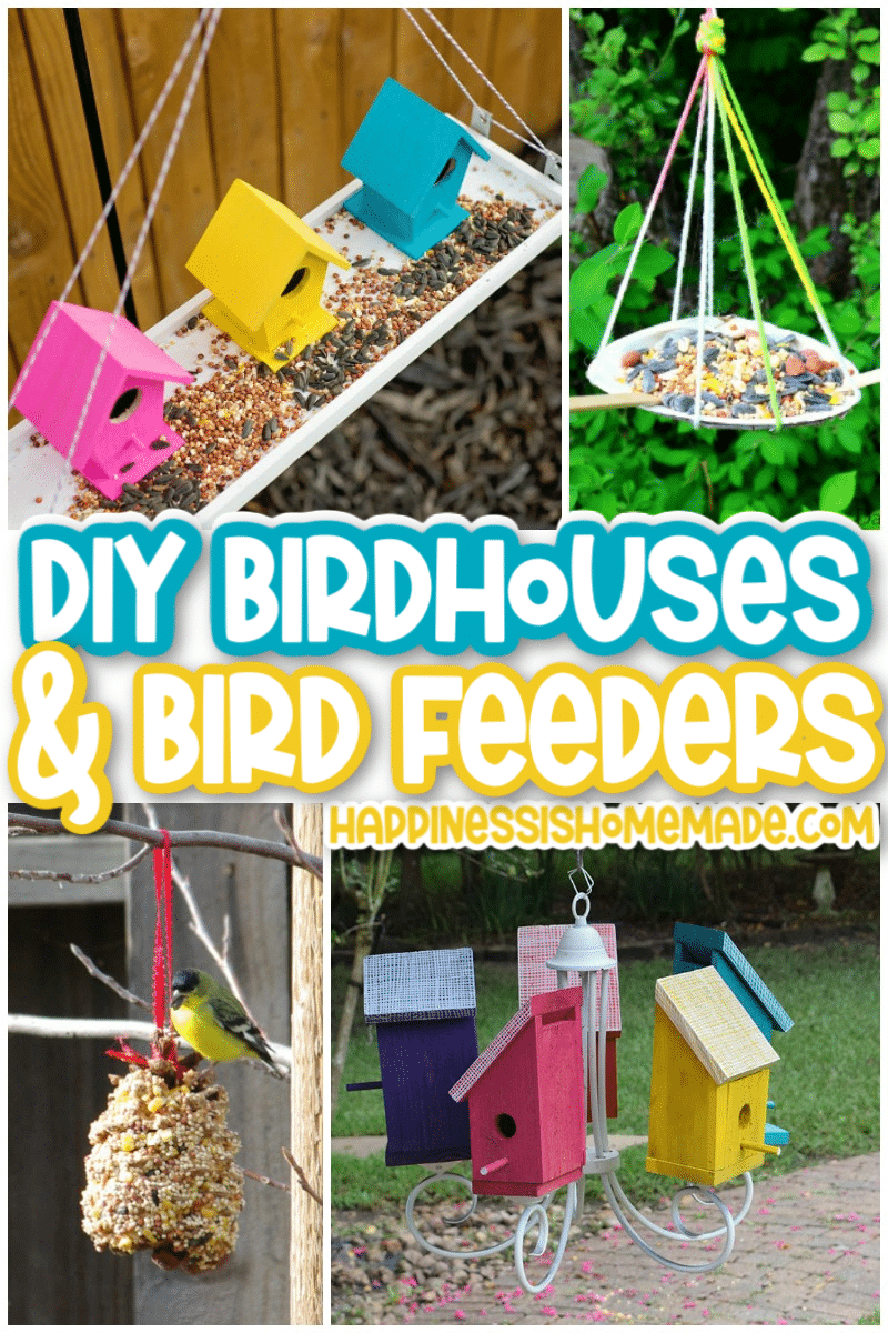DIY Birdhouses and Bird Feeders