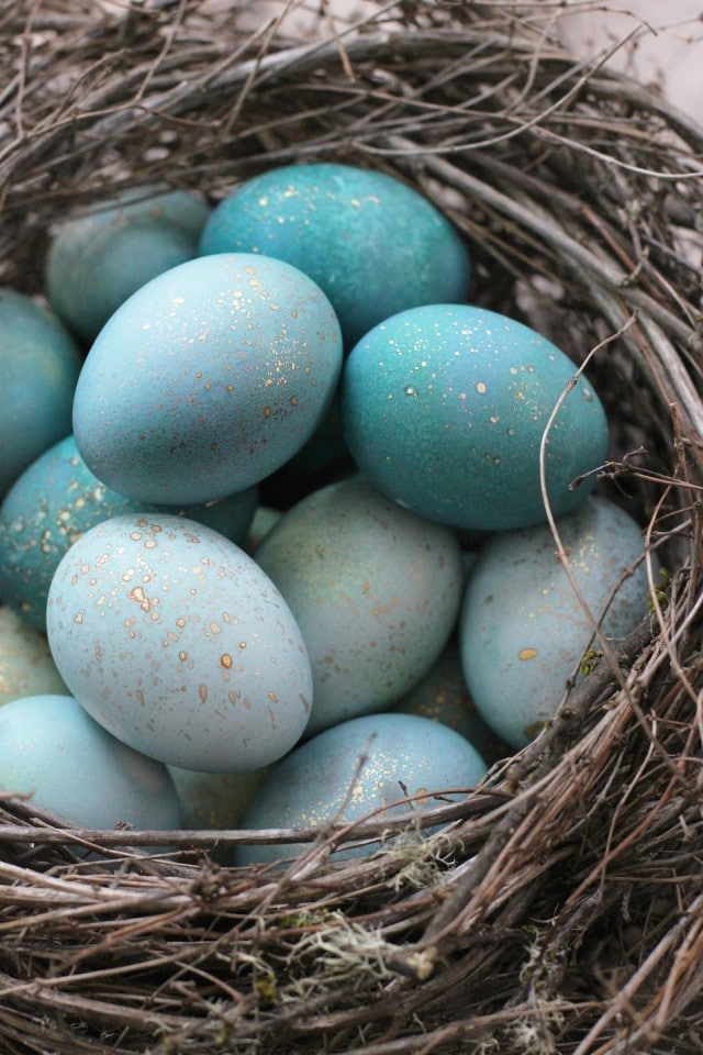 diy robins blue eggs in nest
