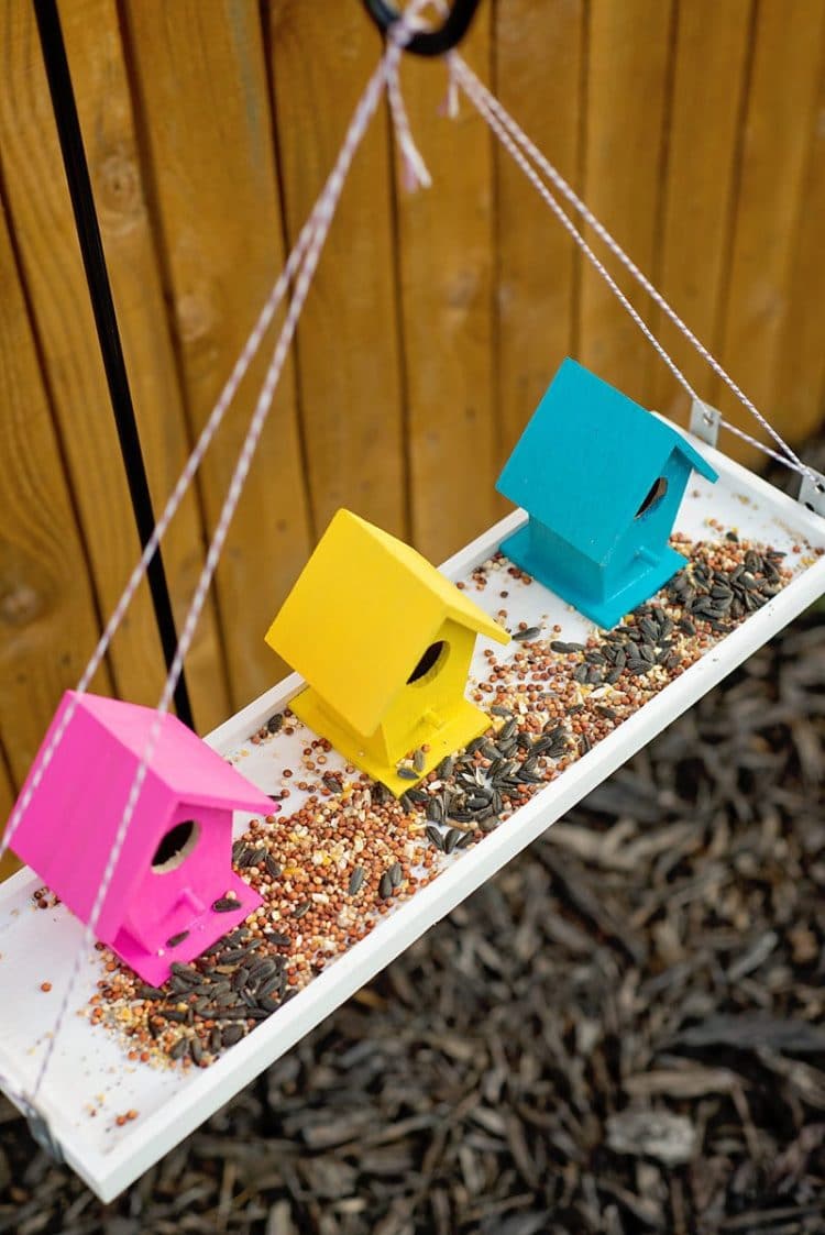 colored bird homes on swinging tray with bird seed