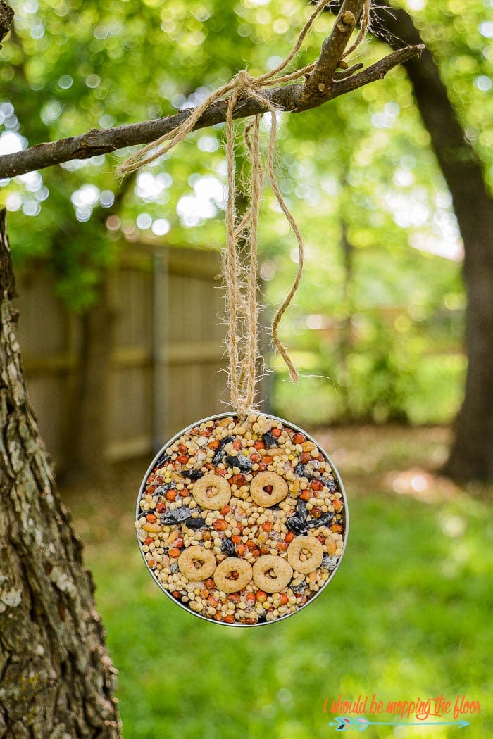 mason jar lid bird feeder hung on tree