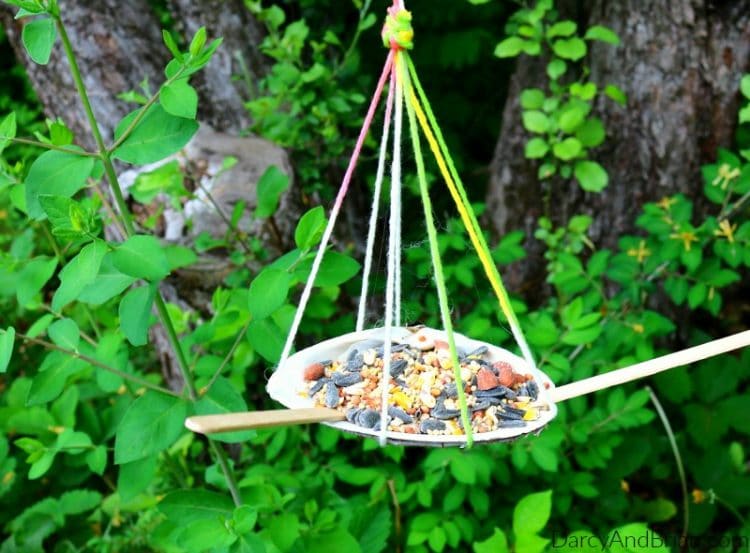 seashell bird feeder hung up