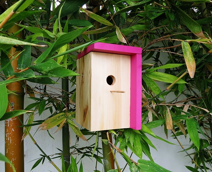 simple modern designed bird house 