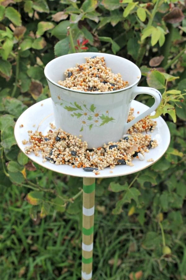 tea cup made into bird feeder