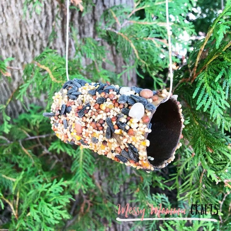 toilet roll with bird seed all over it