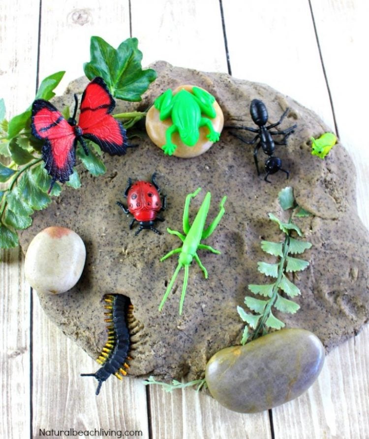 coffee ground playdough with toy bugs and rocks in it