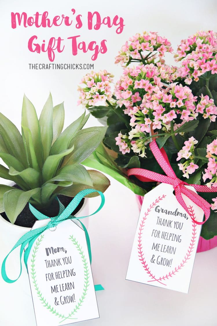 printable gift tag tied to plants