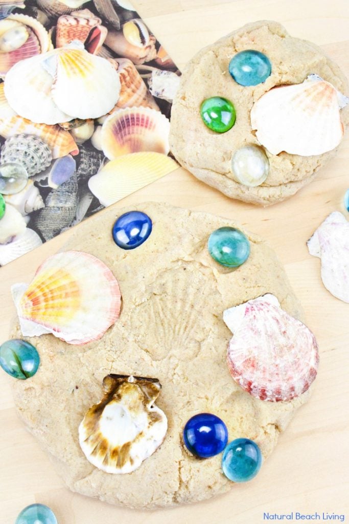 sea shells printed into sand playdough