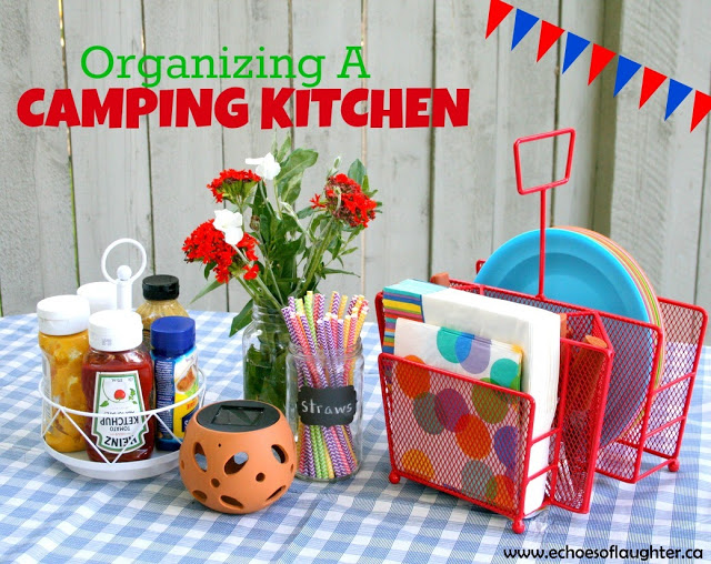 Red Napkin holder with polka dot napkins, condiments, red flowers, and a container with straws on a blue gingham table