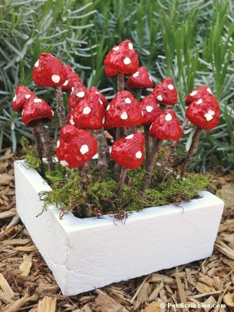 Red polka dotted fairy garden mushrooms made from acorns and twigs
