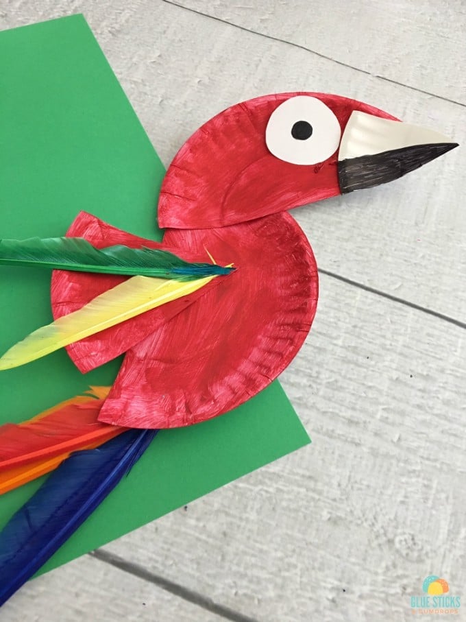 paper plate parrot crafts 