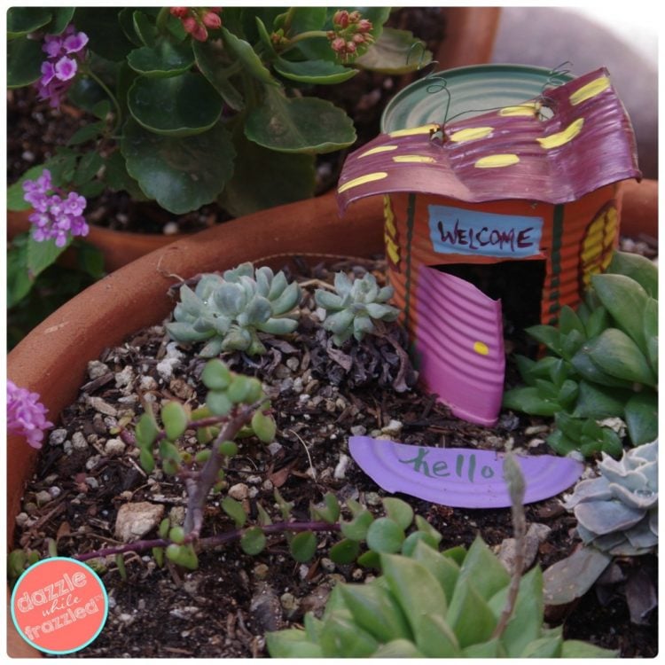 Tin can fairy garden house in terra cotta pot with greenery