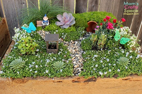 A close up of a fairy garden with plants, rocks, and miniatures