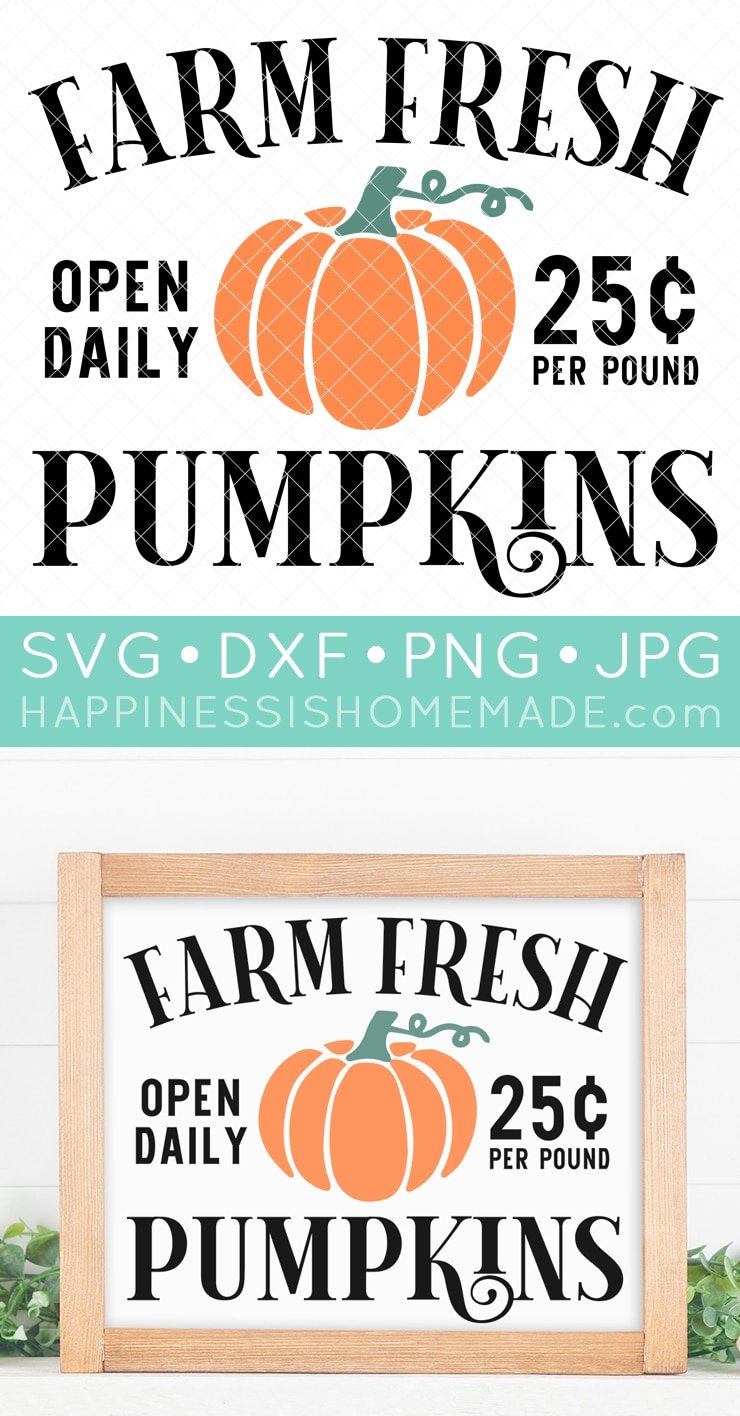 farm fresh pumpkins sign svg file and sign
