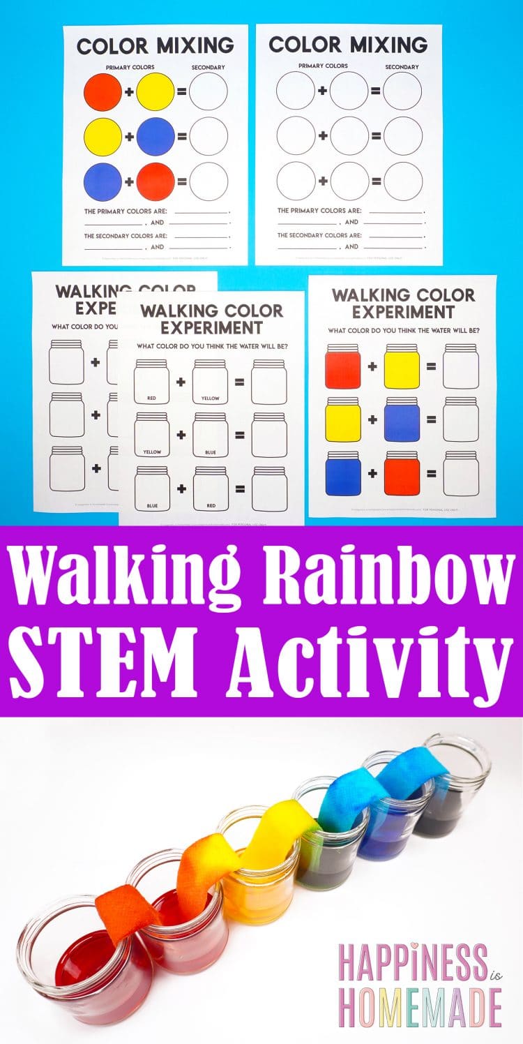 walking rainbow stem activity for kids