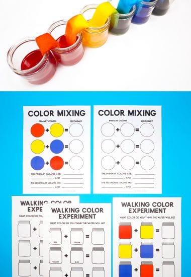 Walking Rainbow STEM Activity and Printables - cups of rainbow water and color mixing printables