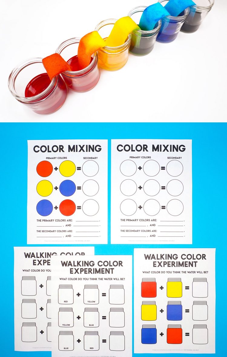 Walking Rainbow STEM Activity and Printables - cups of rainbow water and color mixing printables