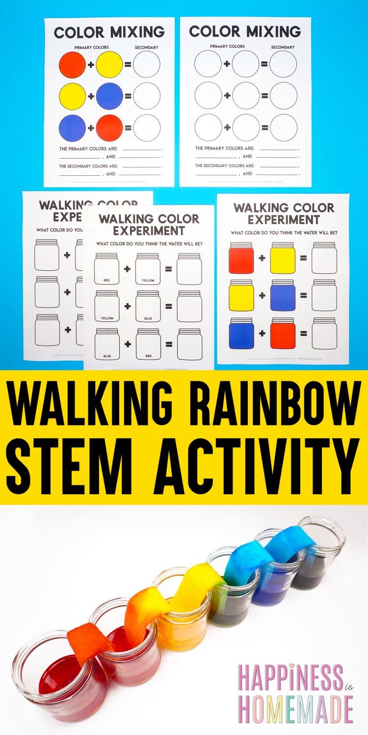 walking rainbow stem activity for kids