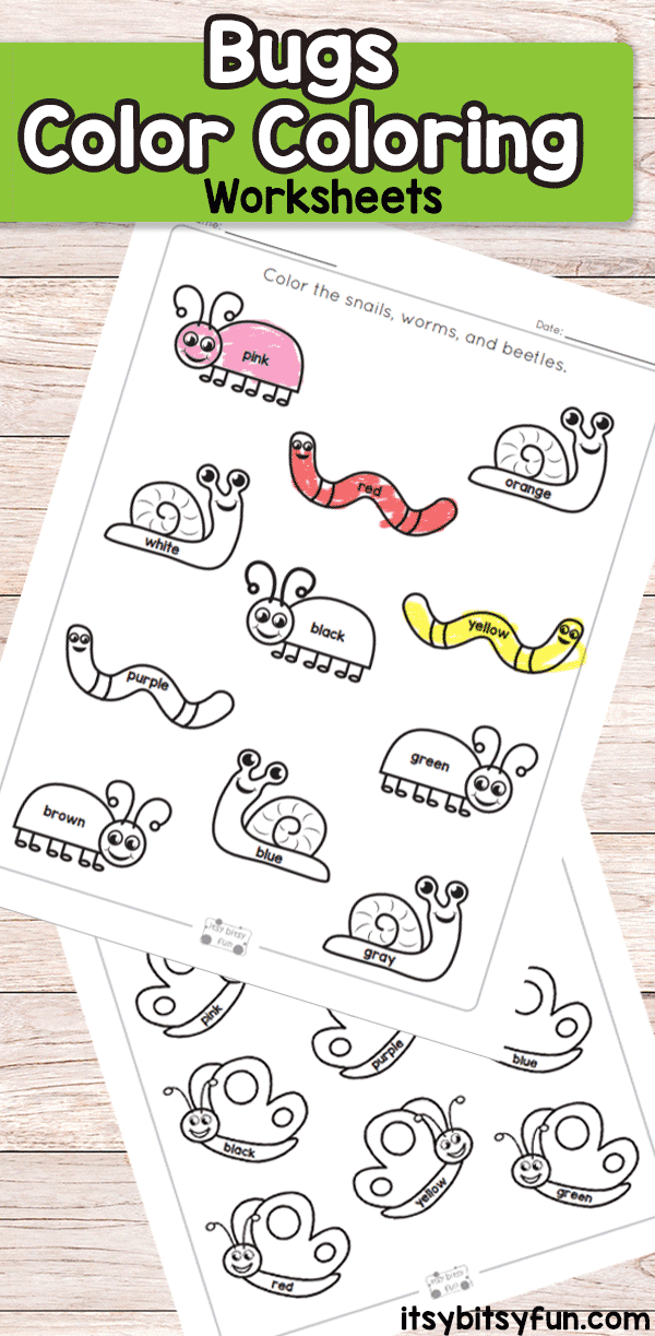 printable bugs color coloring worksheets 
