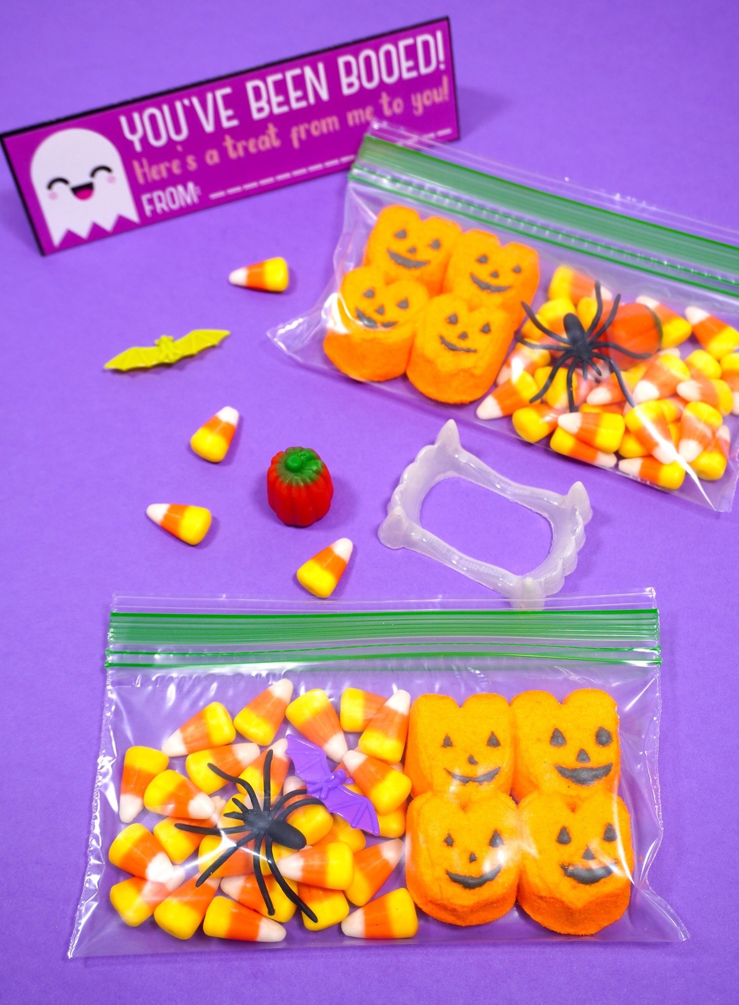 bags now filled with treats pictured with candy and printable
