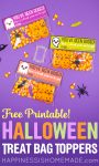 free printable halloween booed treat bags