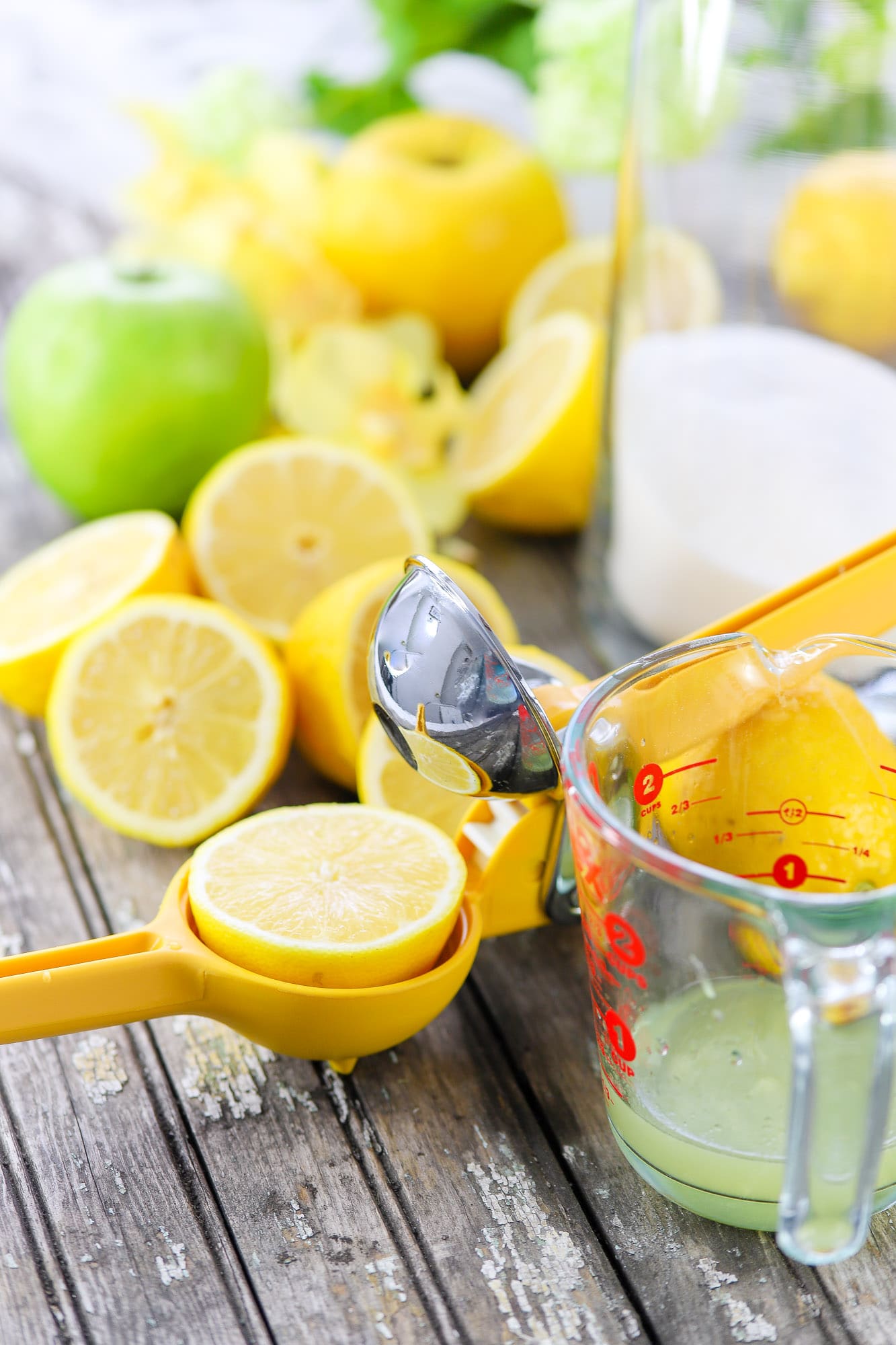 Sliced lemons in and around a citrus juicer