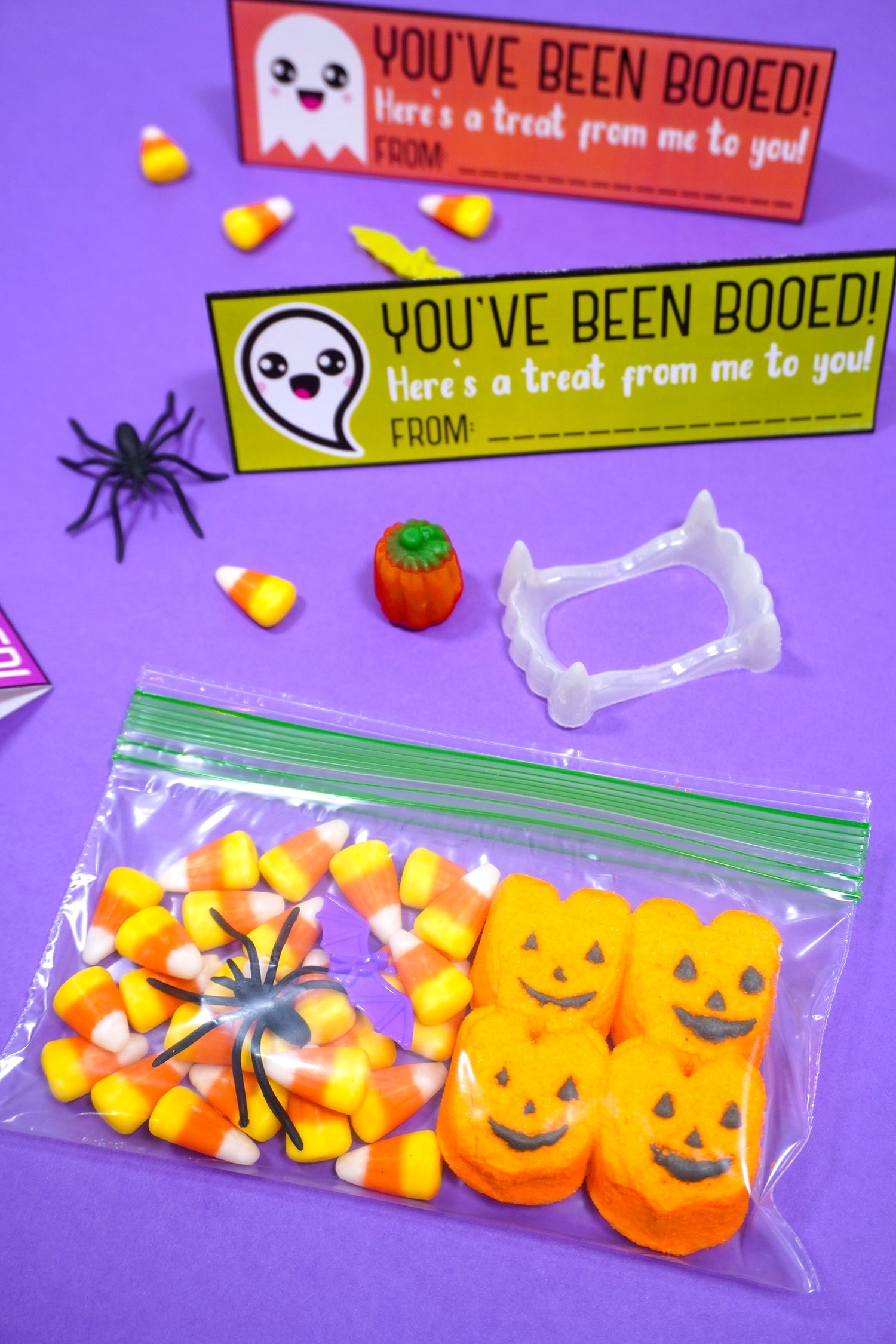 filled treat bag for youve been booed bags