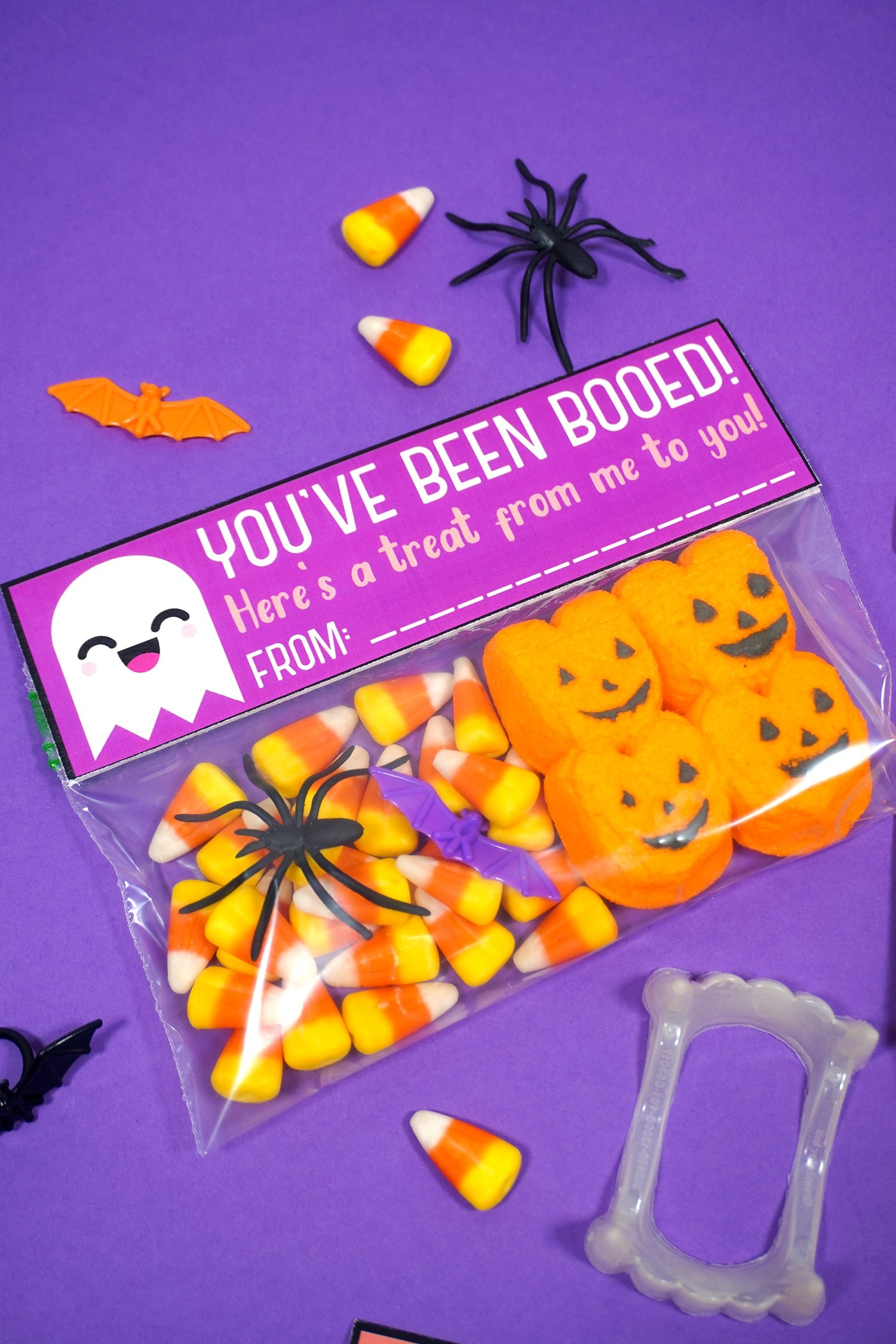 halloween youve been booed treat bag and decor