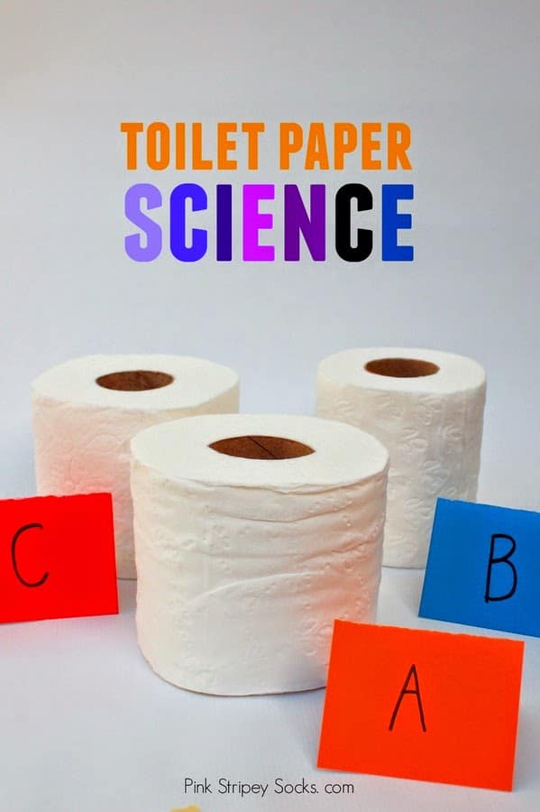 toilet paper science experiment with labeled cards