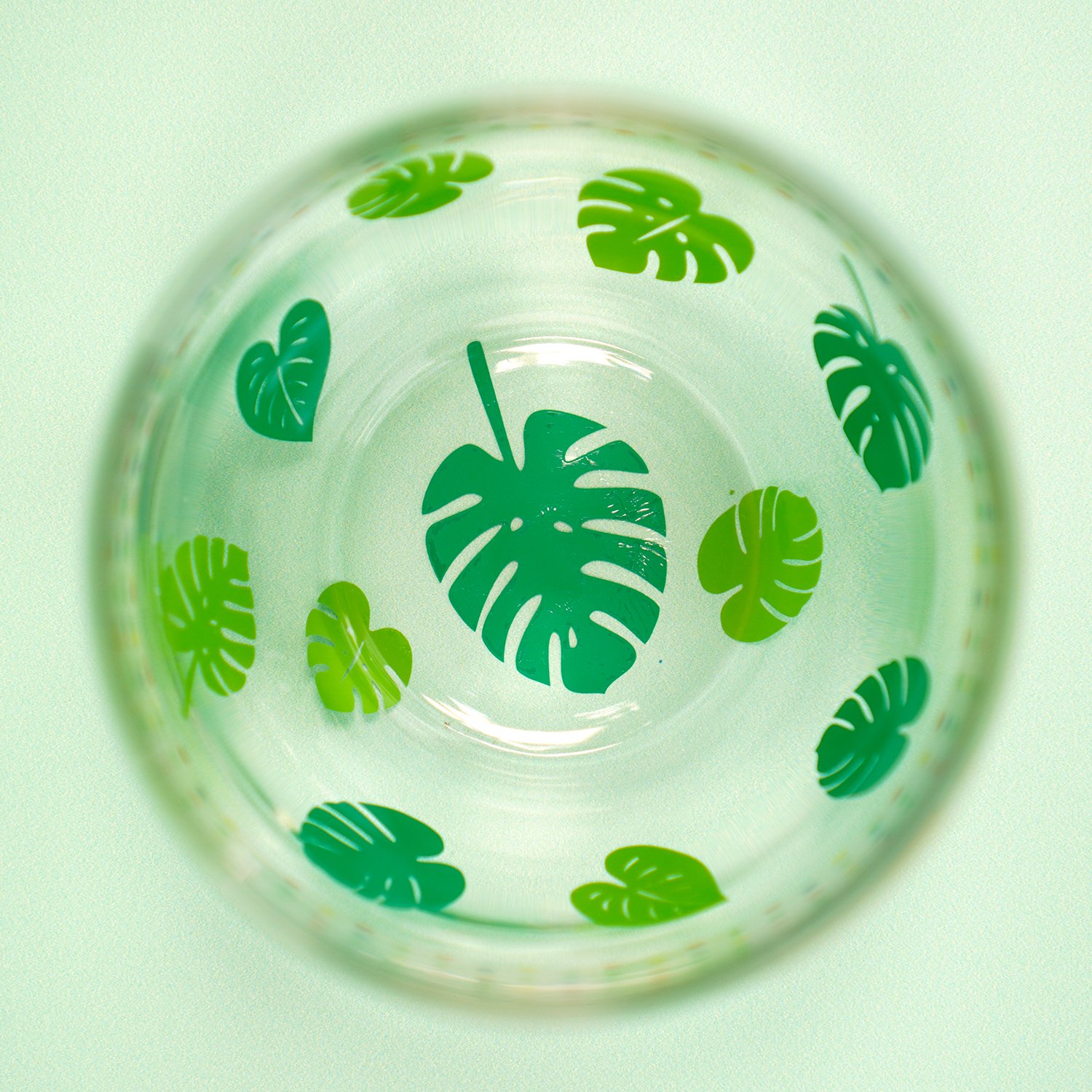 Inside of wine glass with tropical monstera leaves in different shades of green
