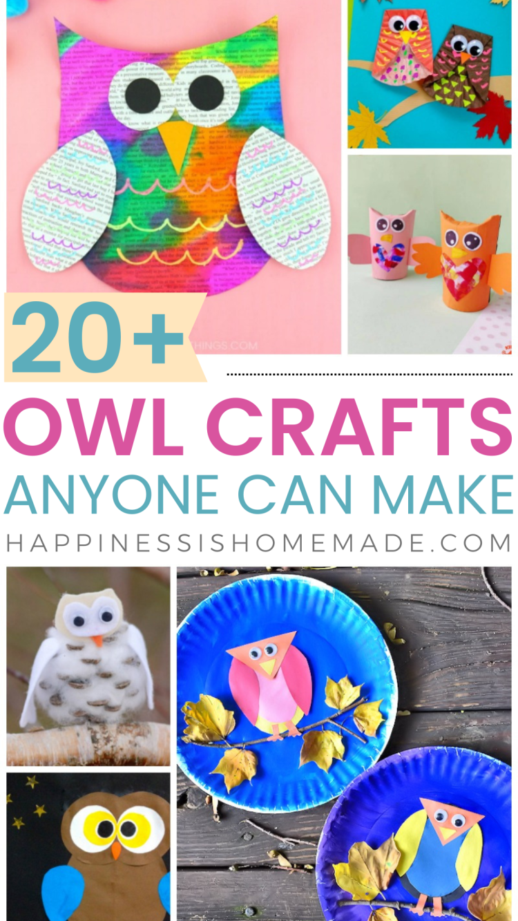 20+ Owl Crafts for Kids of All Ages - Happiness is Homemade