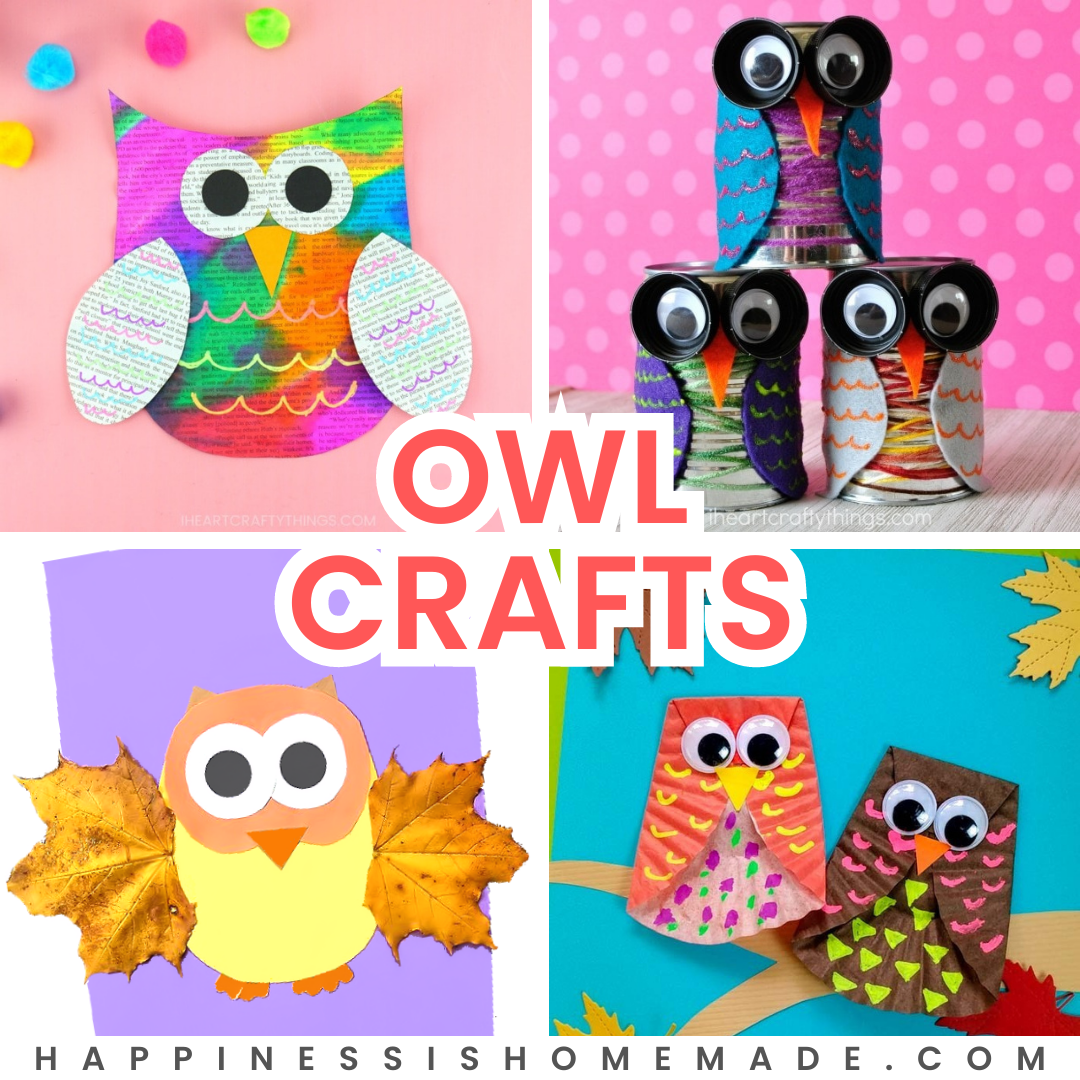 20+ Owl Crafts for Kids of All Ages - Happiness is Homemade