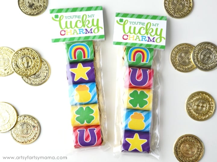 st patricks day lucky charm treat bags with toys