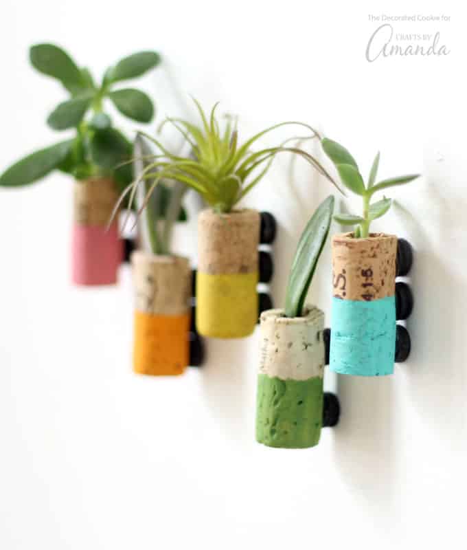 wine cork plant propagation magnets 