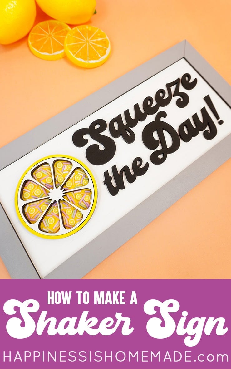 squeeze of the day lemon shaker sign svg file