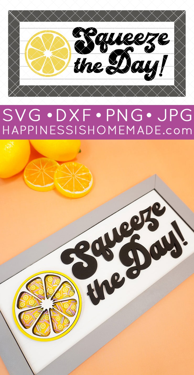 squeeze of the day lemon shaker sign svg file