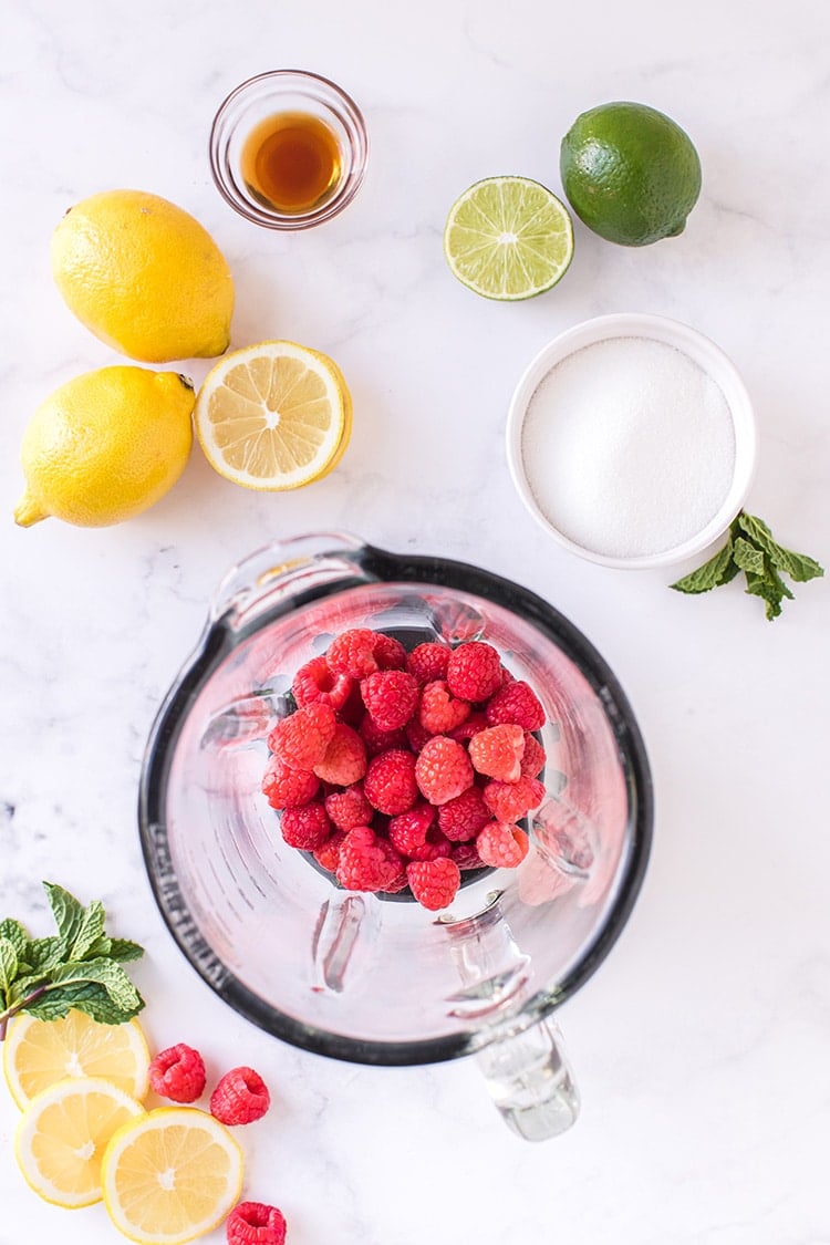 Overhead image of fresh raspberries in a blender surrounded by lemons, limes, and sugar