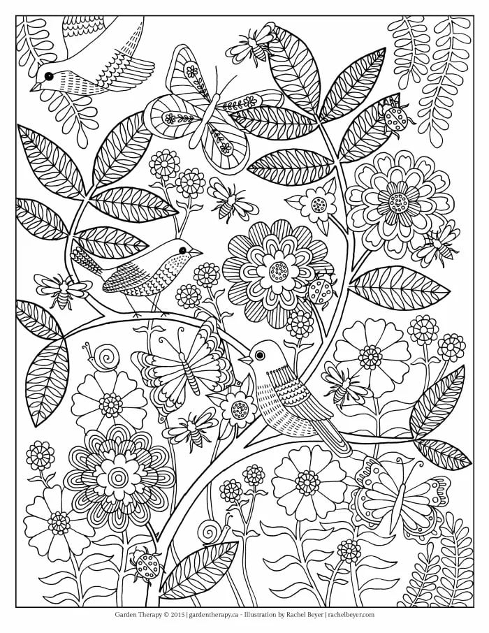 printable coloring pages with flowers and birds