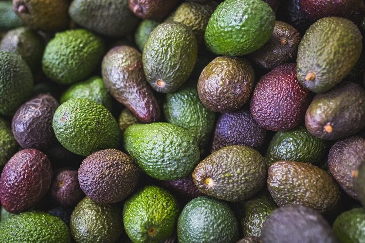 Close up of pile of avocados with assorted colors of skin ranging from green to purple