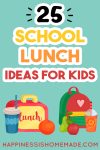 school lunch ideas for kids
