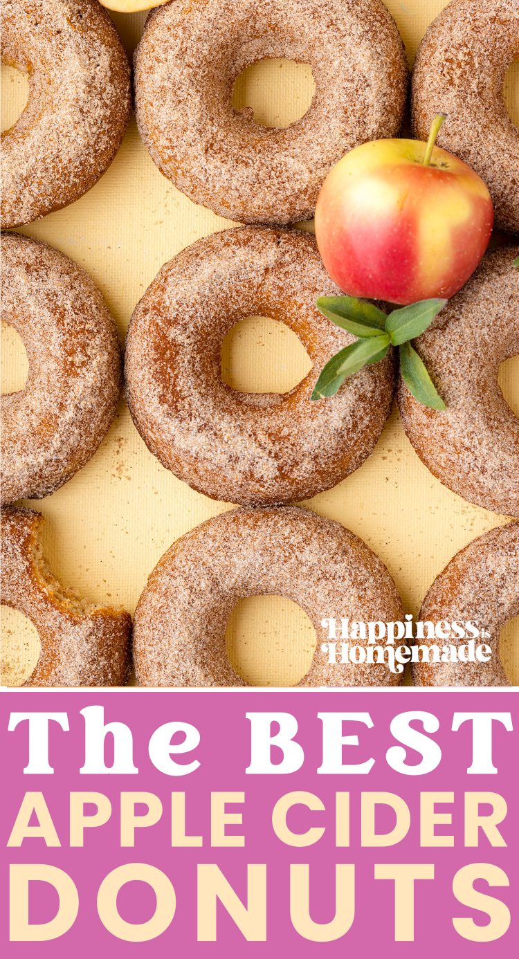 the best apple cider donut recipe