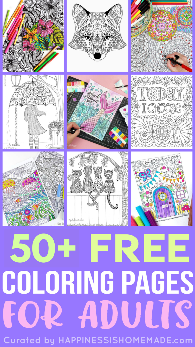 Seasons Color by Number for Kids: Extra Coloring Pages Included for Endless  Fun! 50+ Colorful Pages for Kids Ages 2 -5! The Ultimate Activity Book to  Celebrate the Beauty of the Seasons!