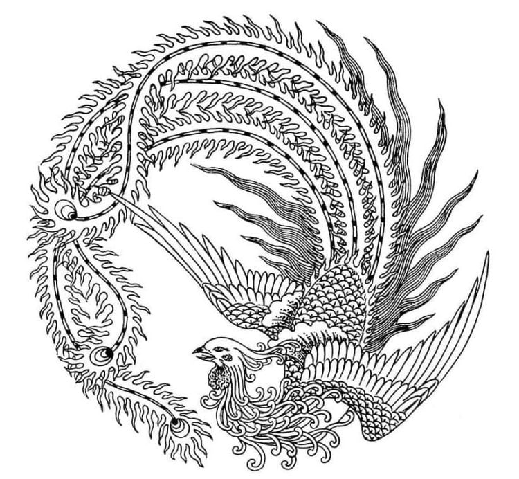 phoenix coloring page for adults