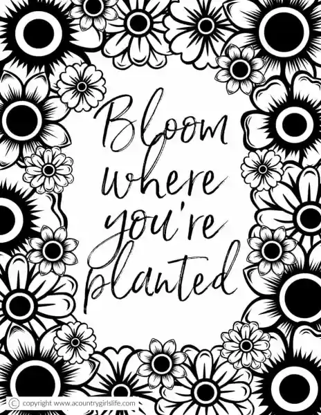 Bloom where you are planted coloring page for adults