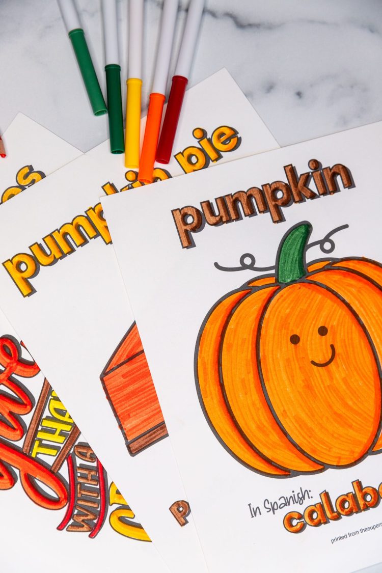 fall seasonal items coloring pages with markers
