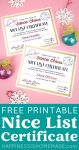 Free Printable Santa's Nice List Certificate