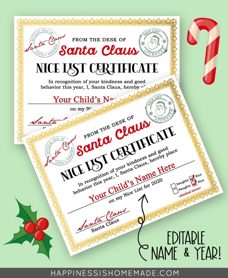 Santa's Naughty or Nice List - 2024