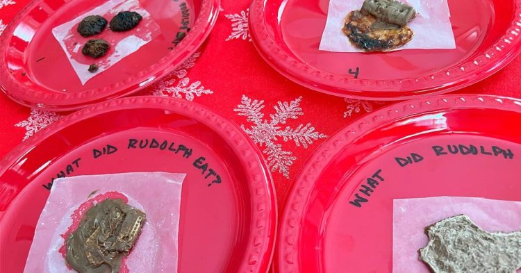 reindeer poop christmas game on plates