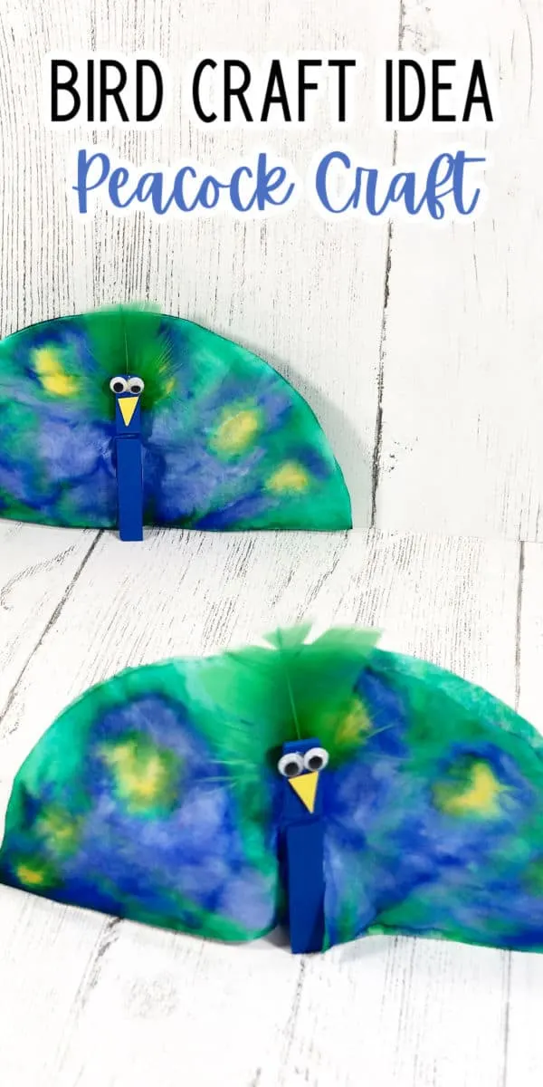 Two blue and green dyed coffee filters folded by blue clothespin to look like peacocks.