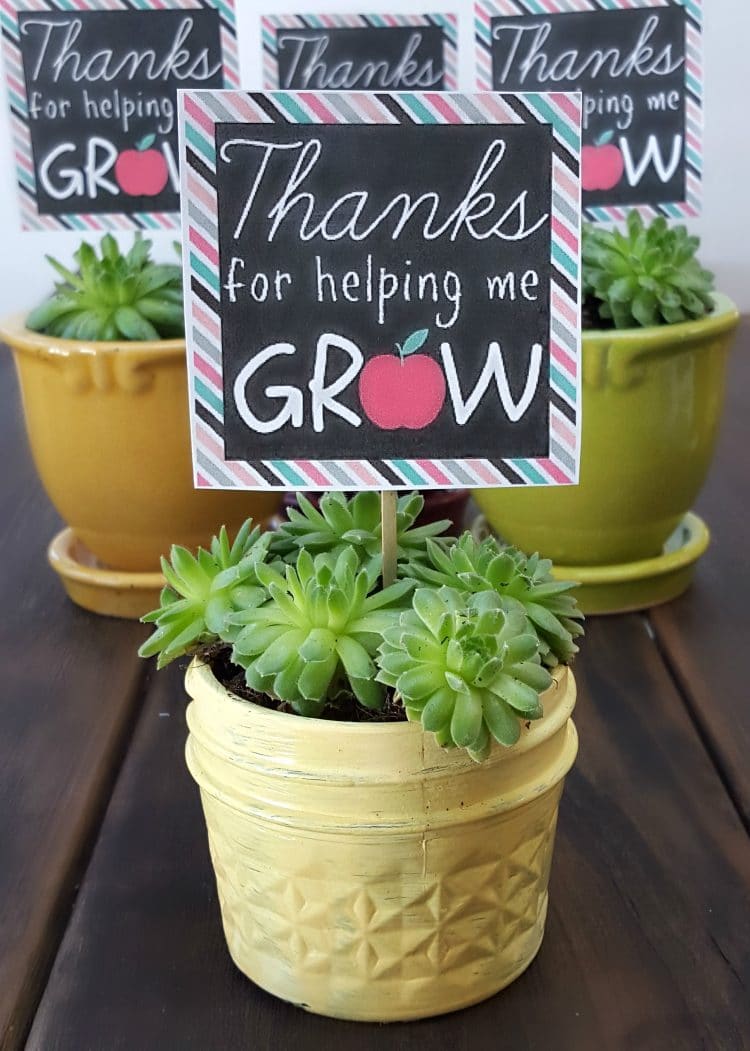 thanks for helping me grow sign in pot of succulents