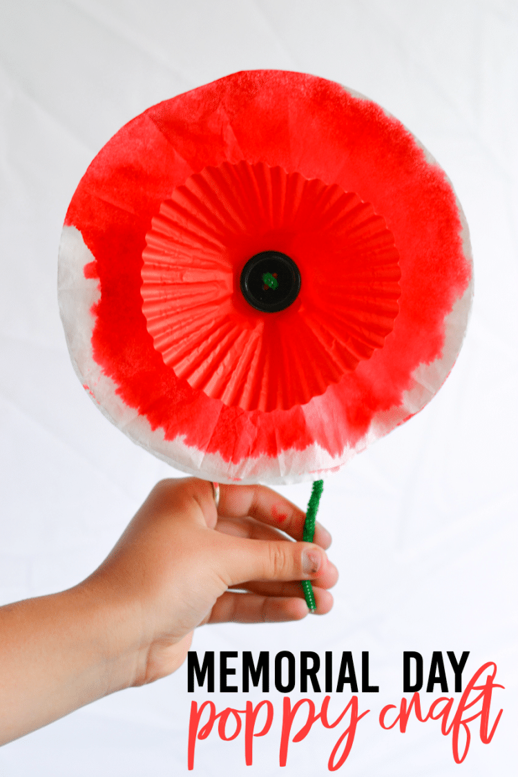 Red and white coffee filter in shape of poppy flower.